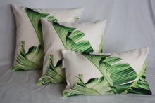 Load image into Gallery viewer, Rainforest Collection One- Set of 3 Sizes