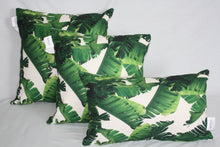 Load image into Gallery viewer, Rainforest Collection One- Set of 3 Sizes