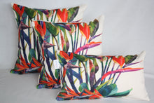 Load image into Gallery viewer, Rainforest Collection One- Set of 3 Sizes